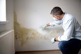 Best Real Estate Mold Inspection  in Ruleville, MS